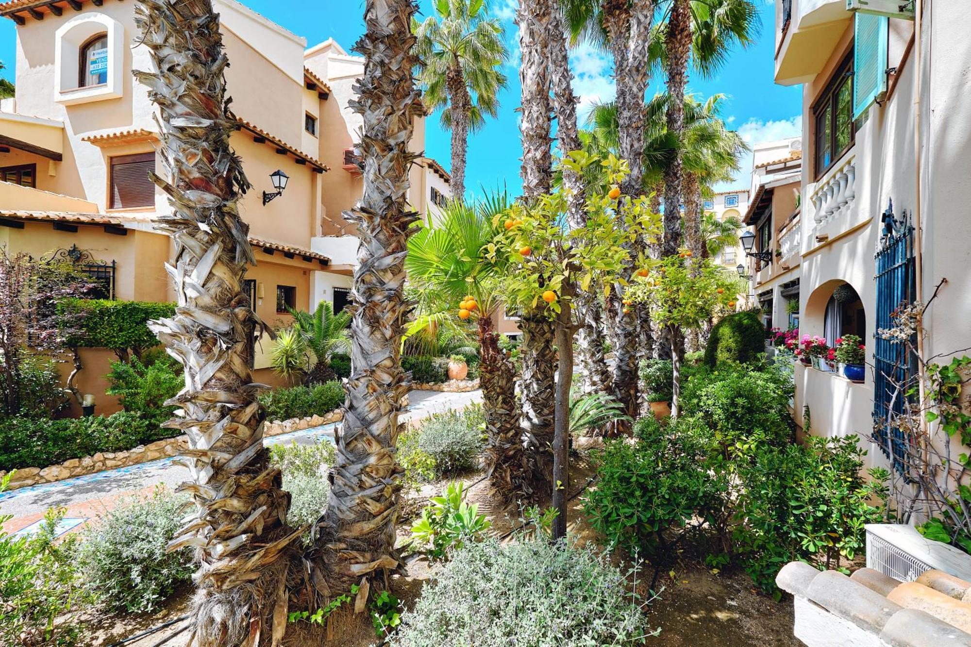 Apartamento Aldea Del Mar トレビエハ エクステリア 写真